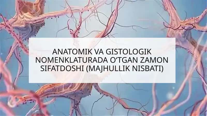 ANATOMIK VA GISTOLOGIK NOMENKLATURA 1