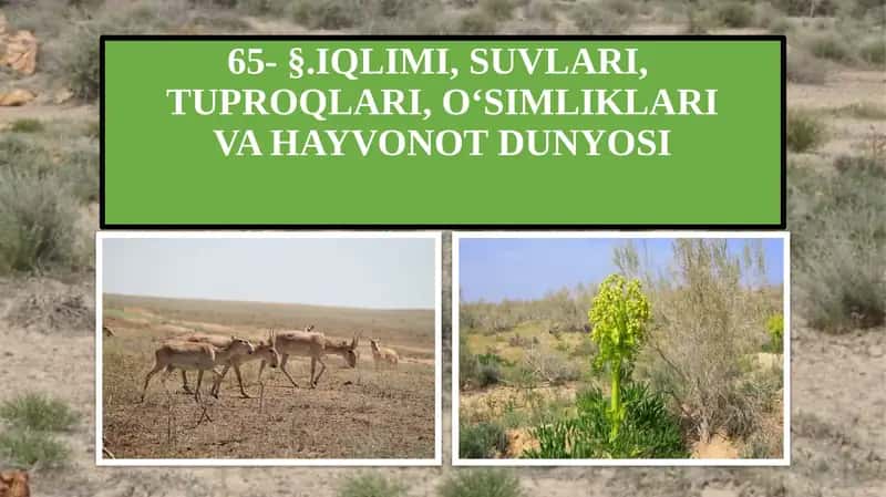 Iqlimi, Suvlari, Tuproqlari, O‘simliklari va Hayvonot Dunyosi 1