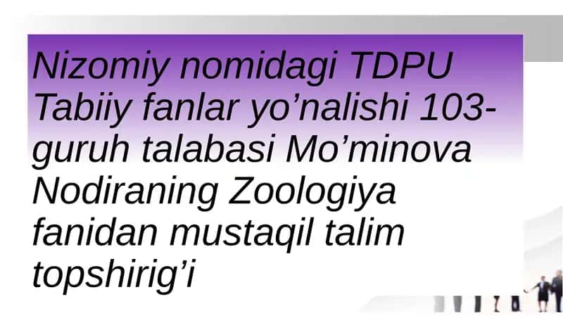 Zoologiya fanidan mustaqil talim topshirig’i 1
