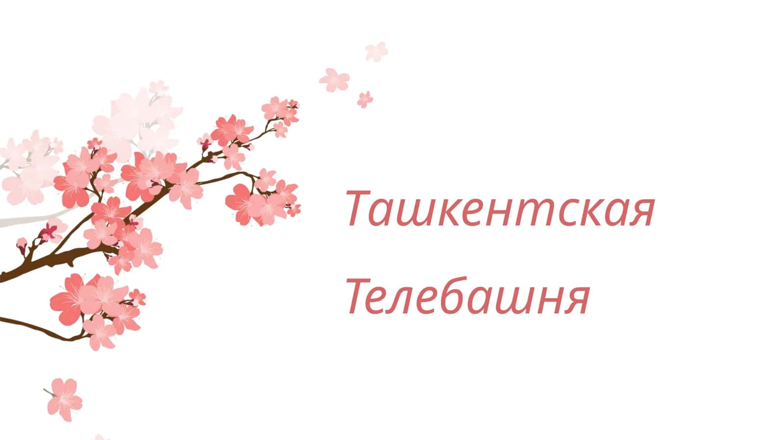 Ташкентская телебашня 1