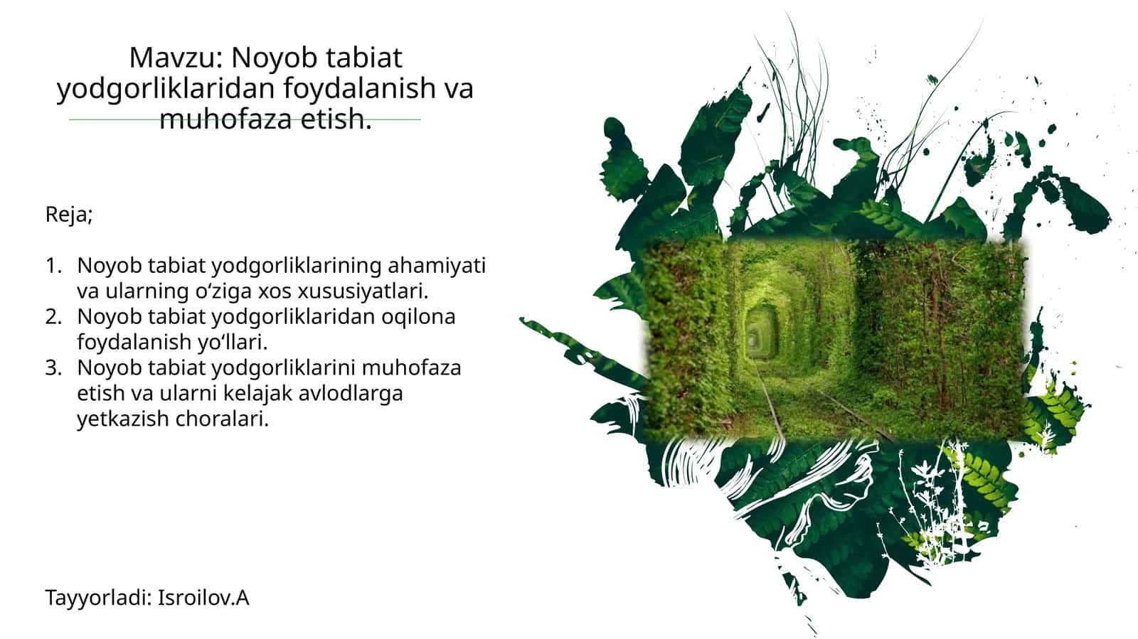Noyob tabiatyodgorliklari 1