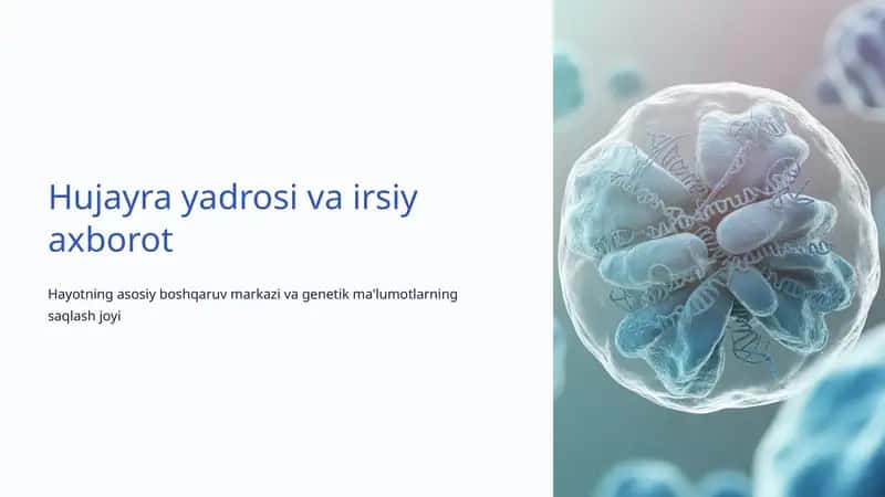 Hujayra yadrosi va irsiy axborot 1