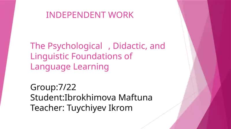 Independent work on the Psychological, Didactic, and Linguistic Foundations of Language Learning 1