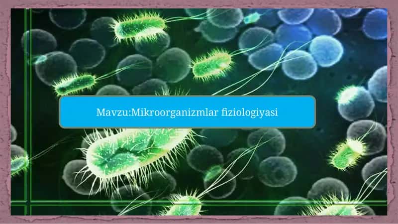 Mavzu:Mikroorganizmlar fiziologiyasi 1