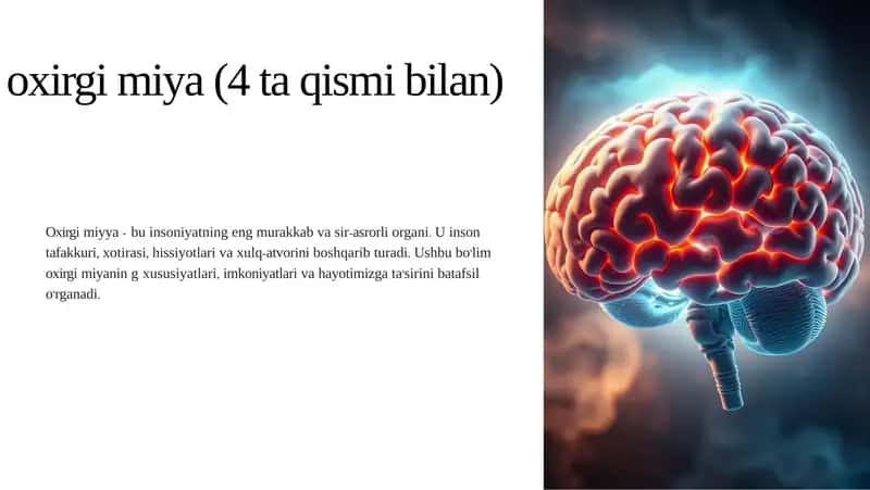 Oxirgi miya (4 ta qismi bilan) 1