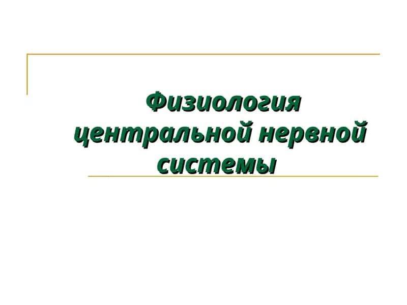 Физиология центральной нервной системы 1