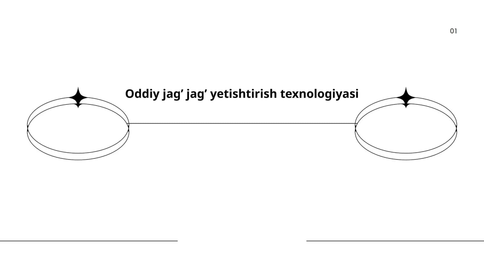 Oddiy jag’ jag’ yetishtirish texnologiyasi 1