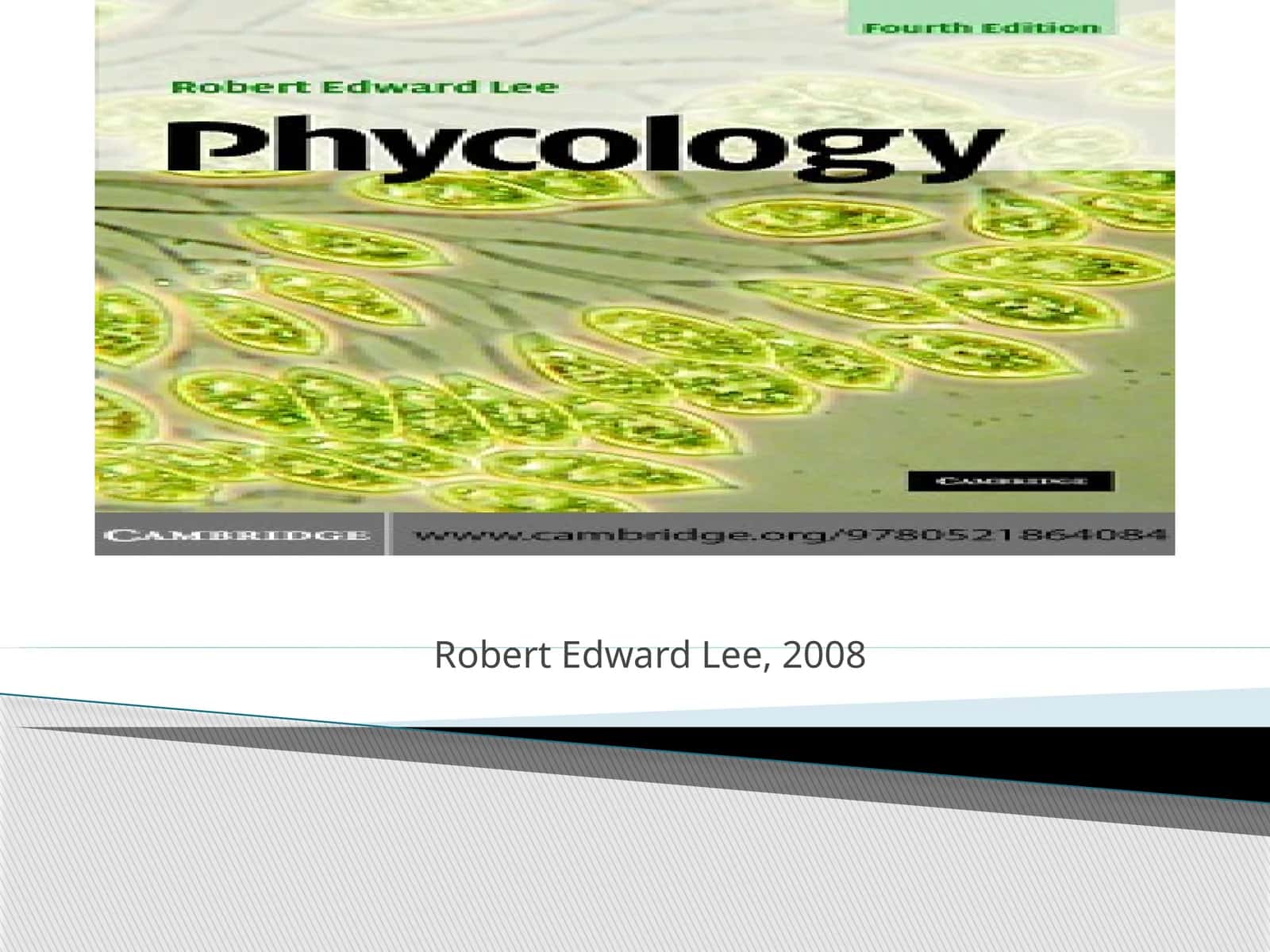 Algae 1