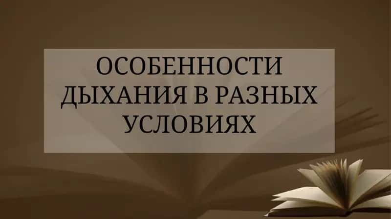 Особенности дыхания в разных условиях 1