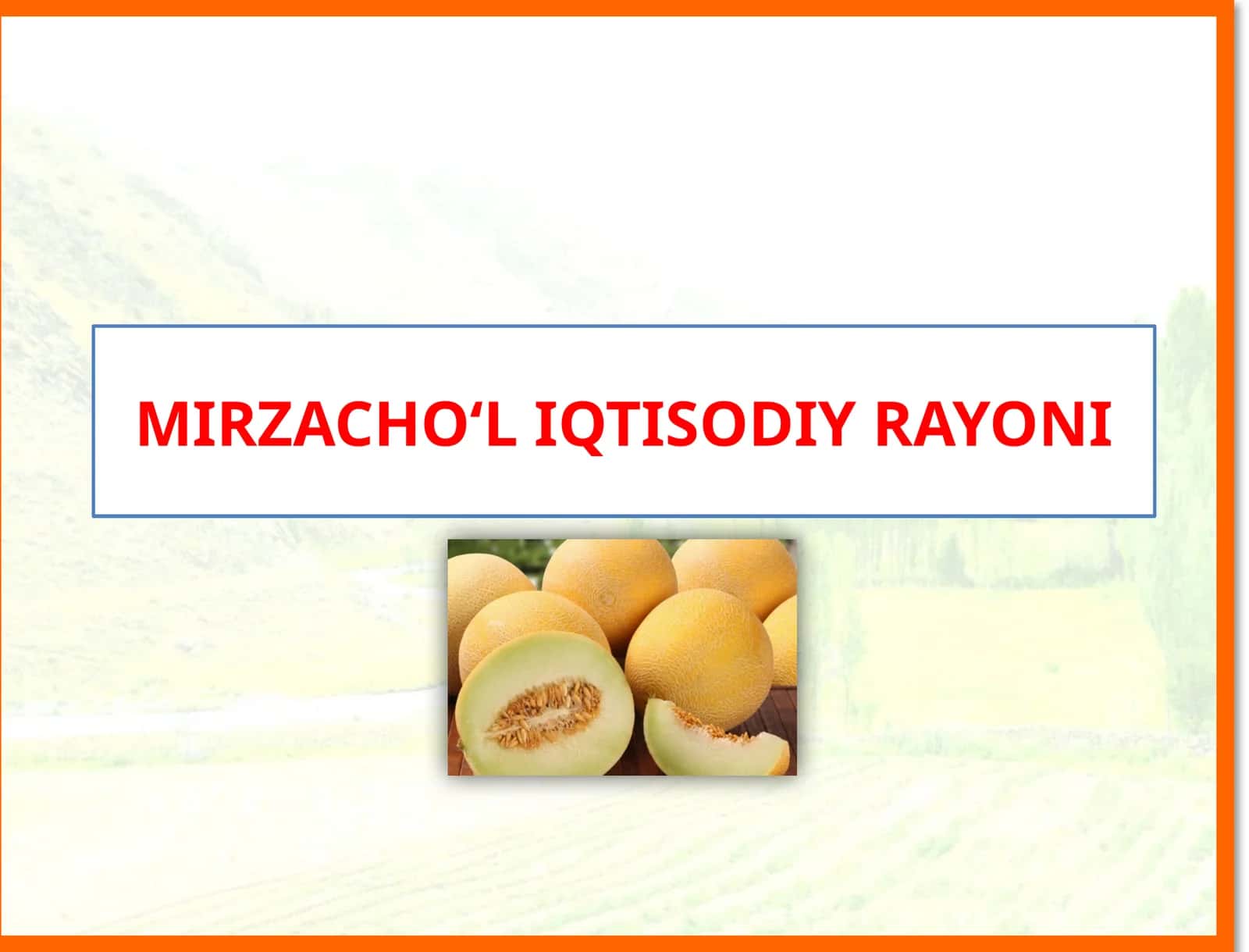 MIRZACHO‘L IQTISODIY RAYONI 1