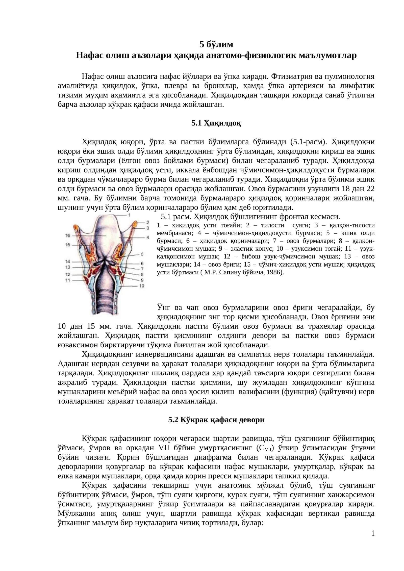 Нафас олиш аъзолари ҳақида анатомо-физиологик маълумотлар 1