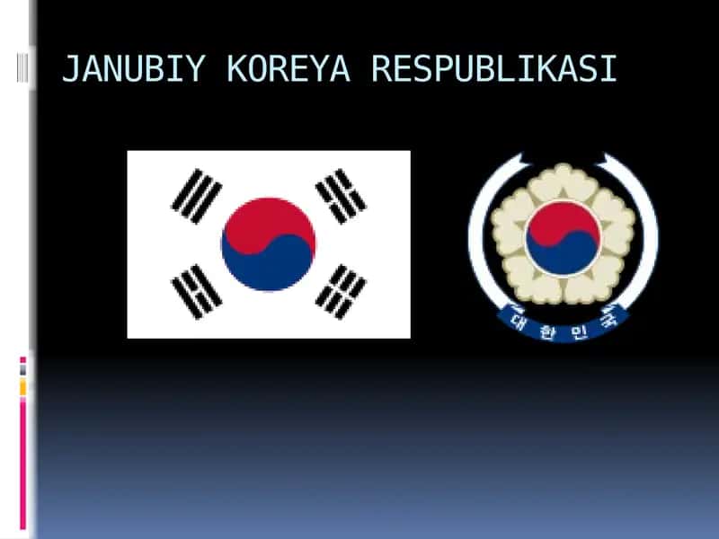 Koreya Respublikasi tayyorladi 1