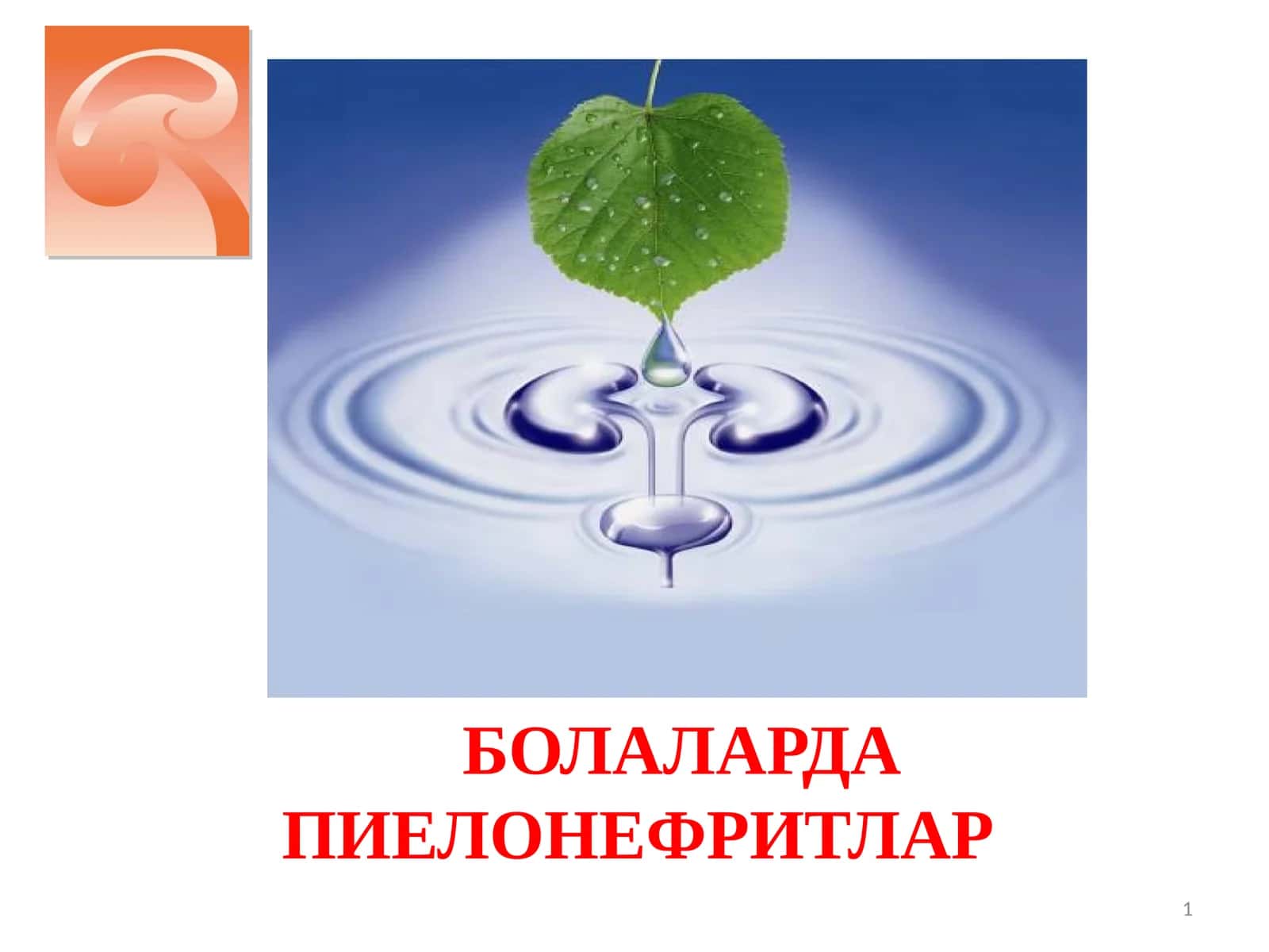 БОЛАЛАРДА ПИЕЛОНЕФРИТЛАР 1
