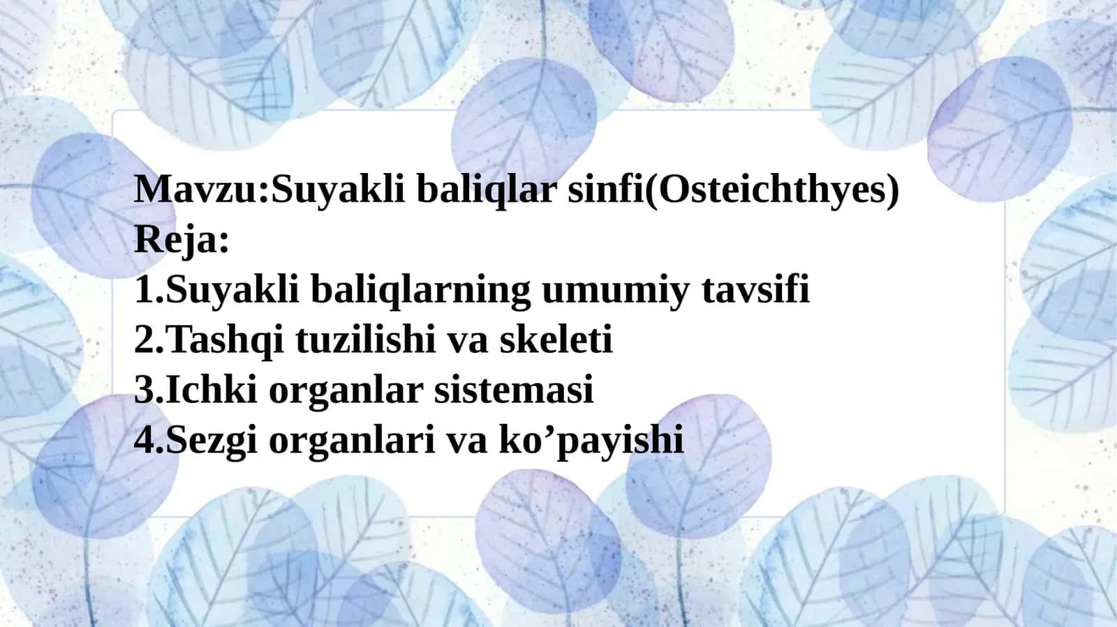 Suyakli baliqlar sinfi(Osteichthyes) 1
