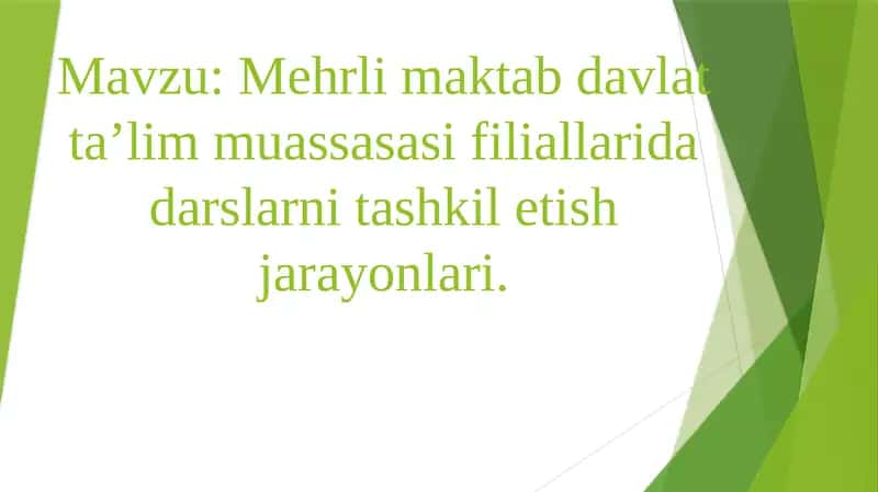 Mehrli maktab davlat ta’lim muassasasi filiallarida darslarni tashkil etish jarayonlari. 1