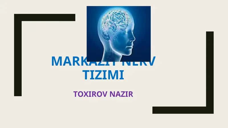 MARKAZIY NERV TIZIMI 1
