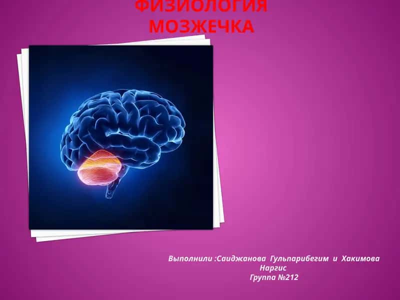Физиология мозжечка 1