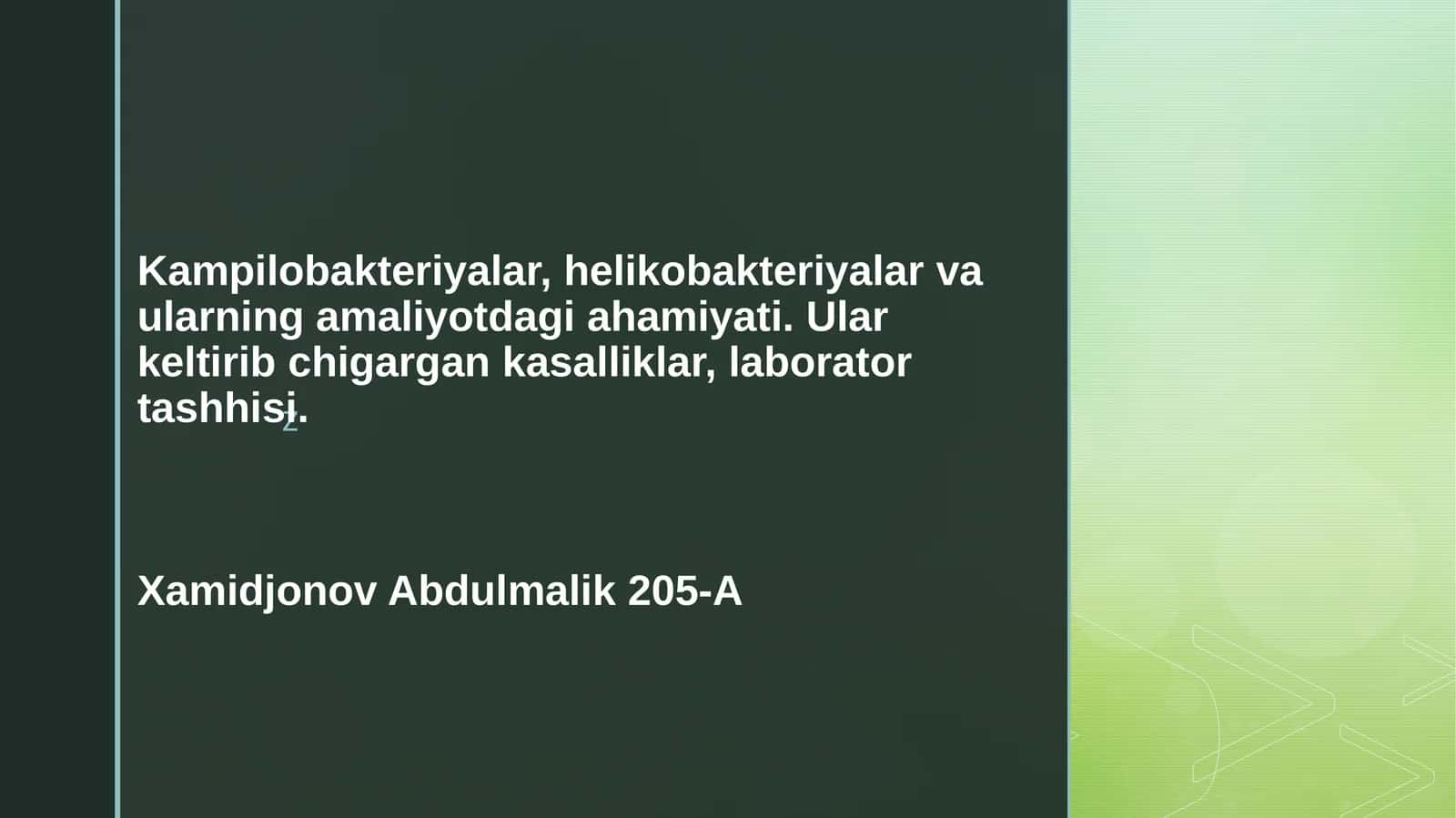 Kampilobakteriyalar, helikobakteriyalar va ularning amaliyotdagi ahamiyati. Ularning keltirib chiqargan kasalliklar, laborator tashxisi 1