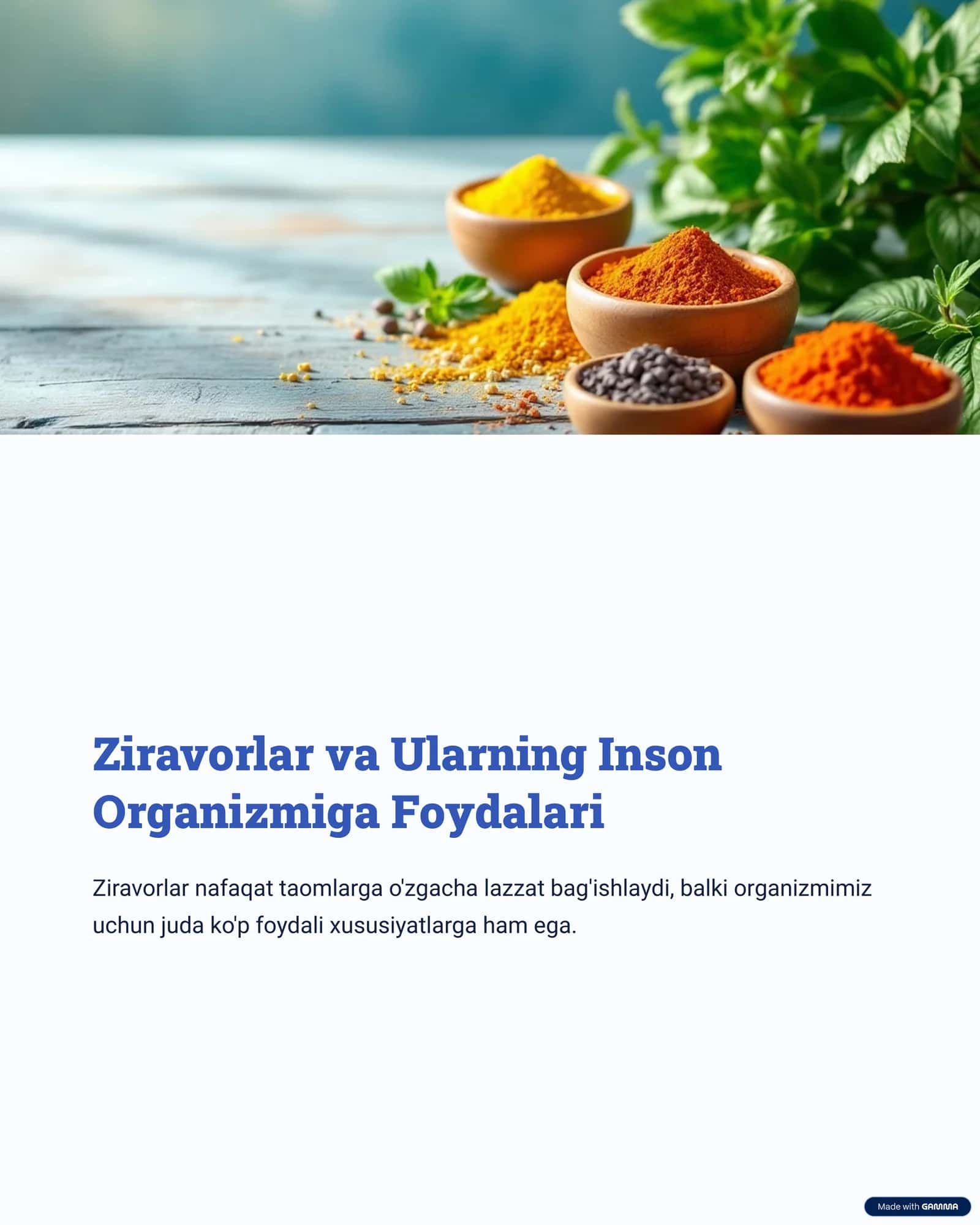 Ziravorlar va Ularning Inson Organizmiga Foydalari 1