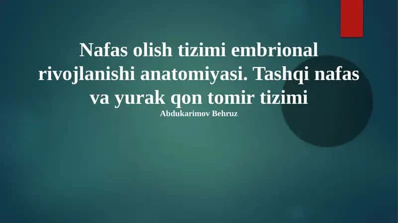 Nafas olish va yurak-qon tomir tizimi anatomiyasi 1