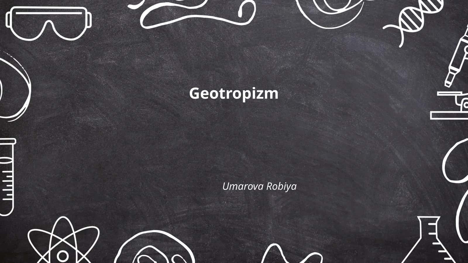 Geotropizm 1