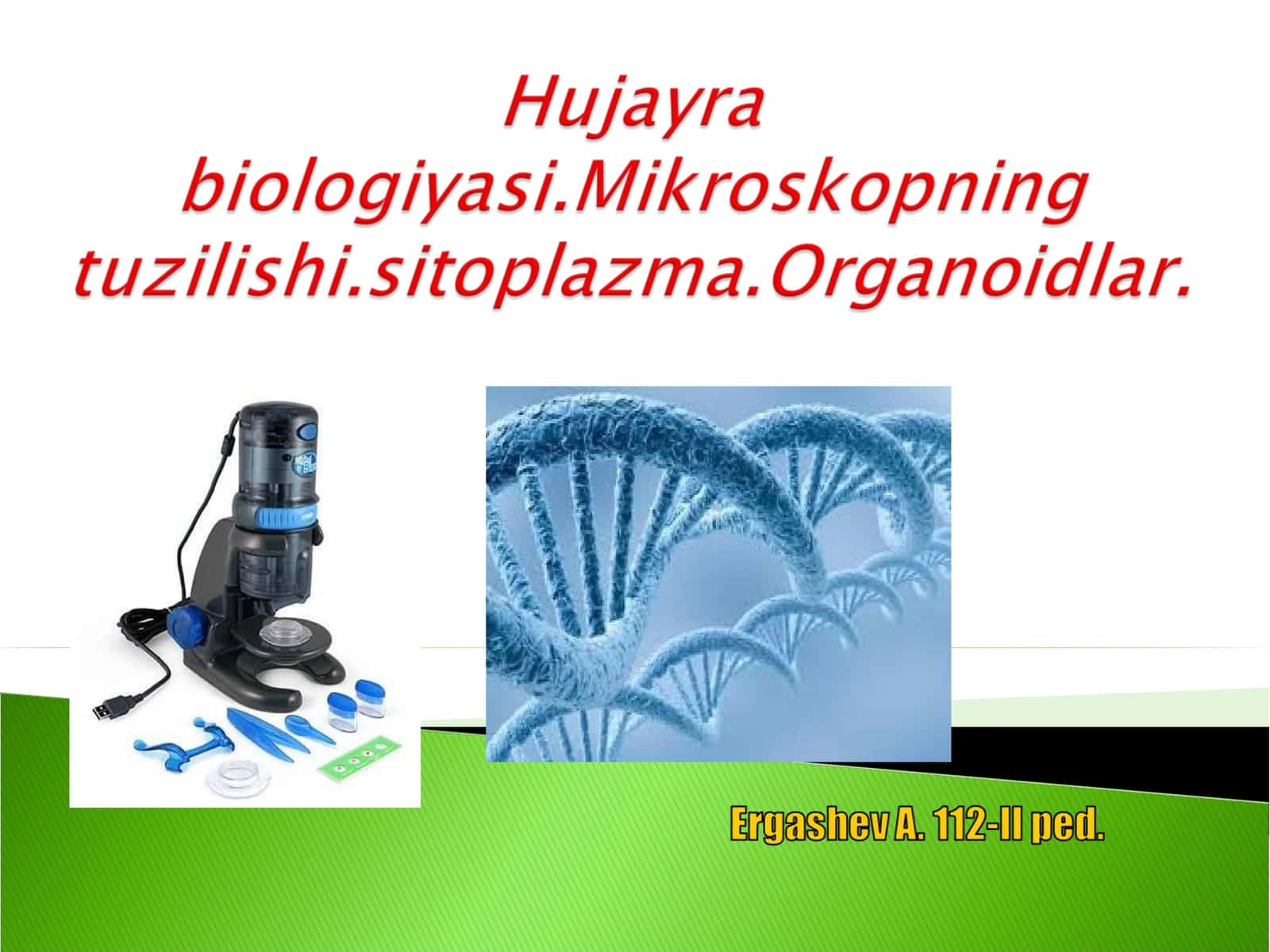Mikroskop, zarrabin 1