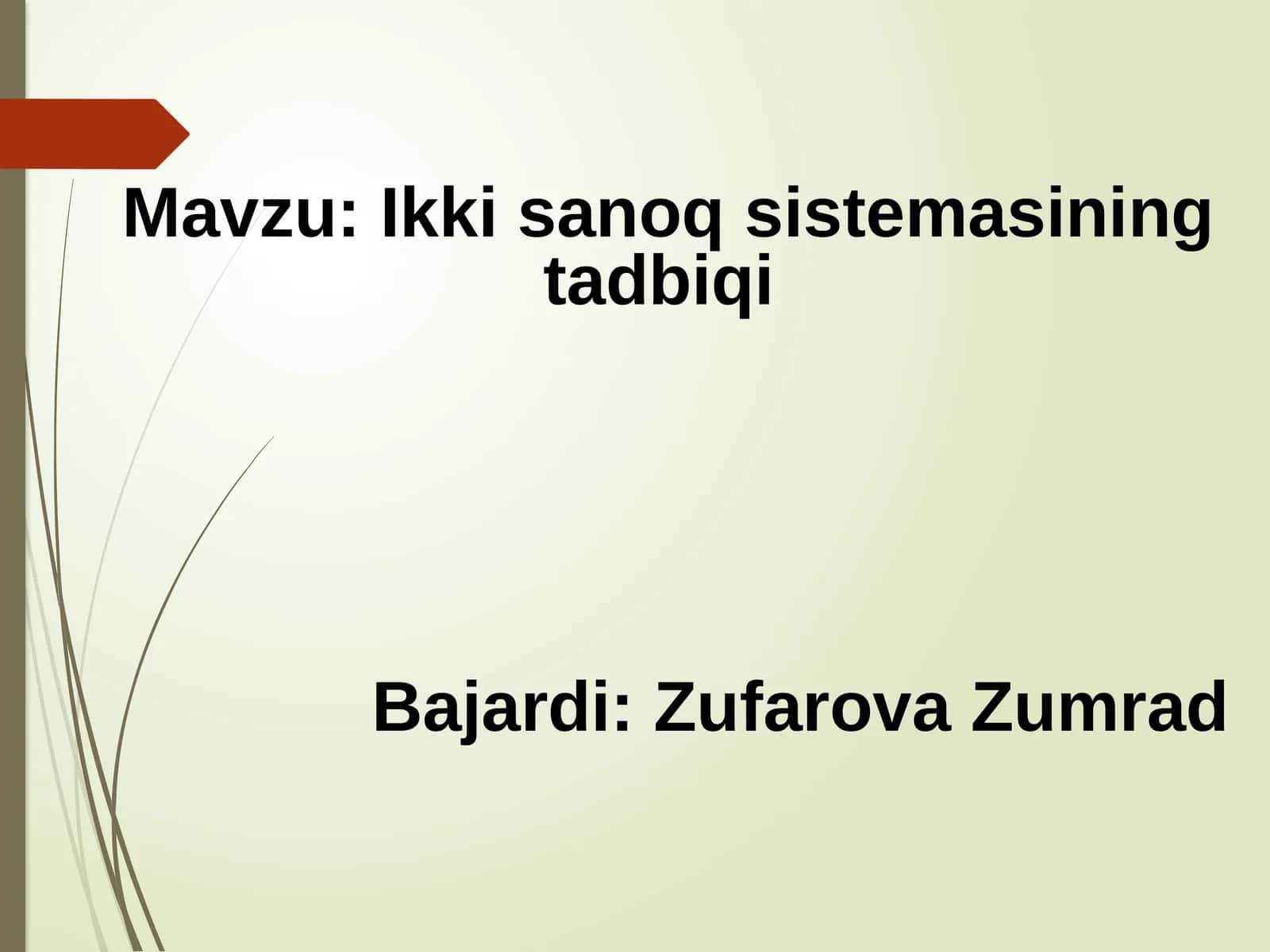 Ikki sanoq sistemasining tadbiqi 1