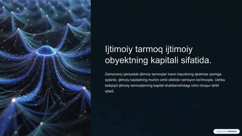 Ijtimoiy tarmoq ijtimoiy obyektning kapitali sifatida. 1