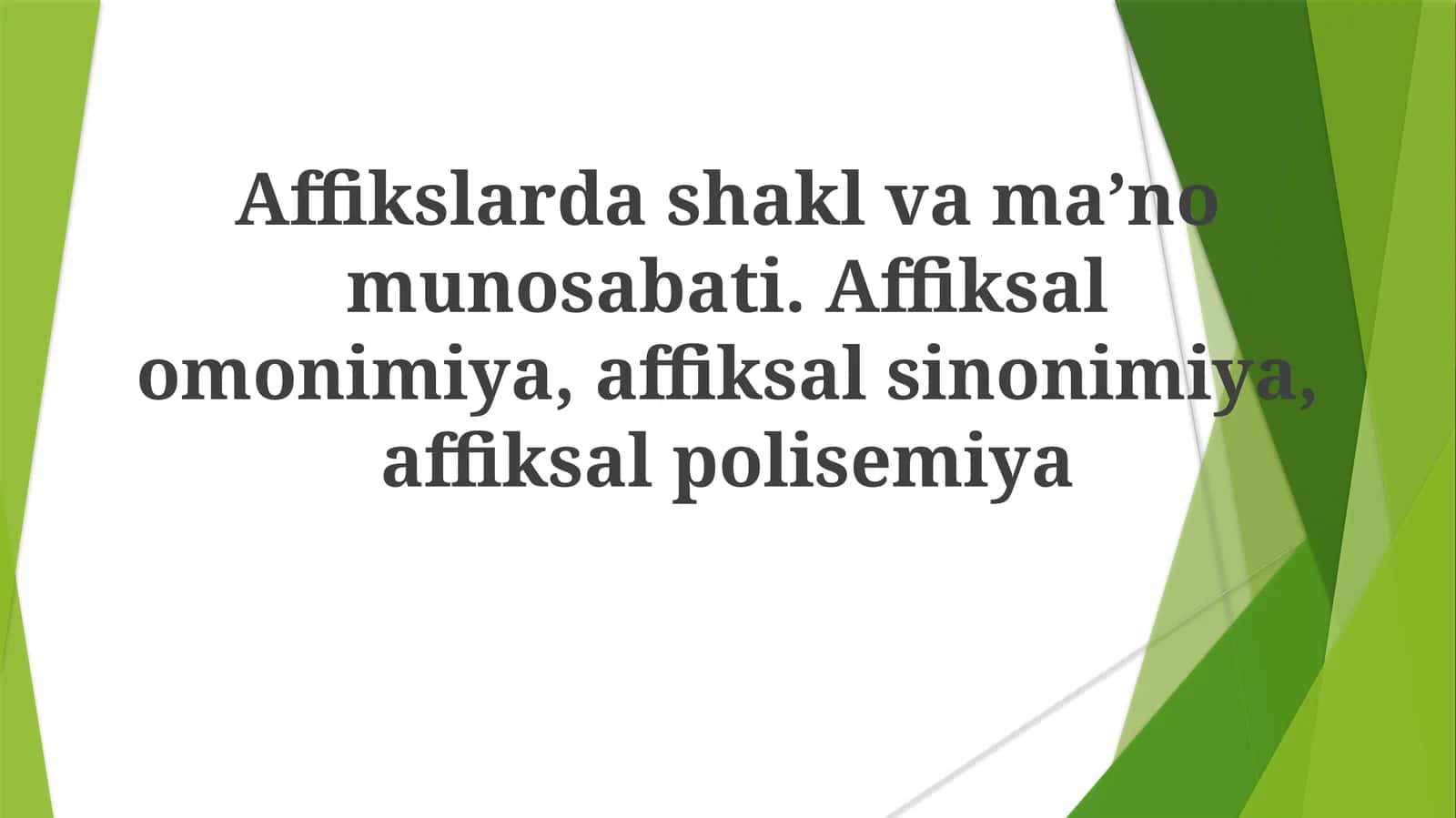 Afiksal gomoniya, sinonimiya va polisemiya 1