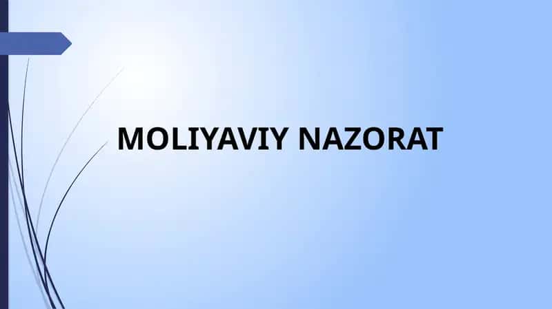 Moliyaviy nazorat 1