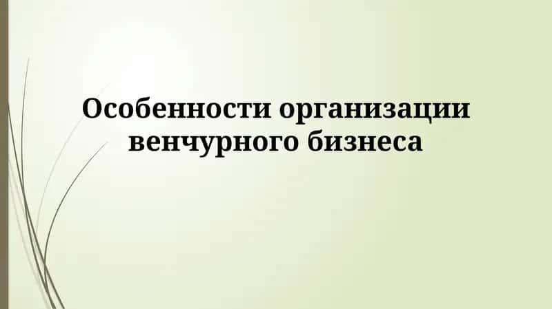 Особенности организации венчурного бизнеса 1