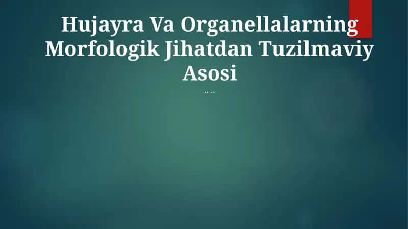 Hujayra Va Organellalarning Morfologik Jihatdan Tuzilmaviy Asosi 1