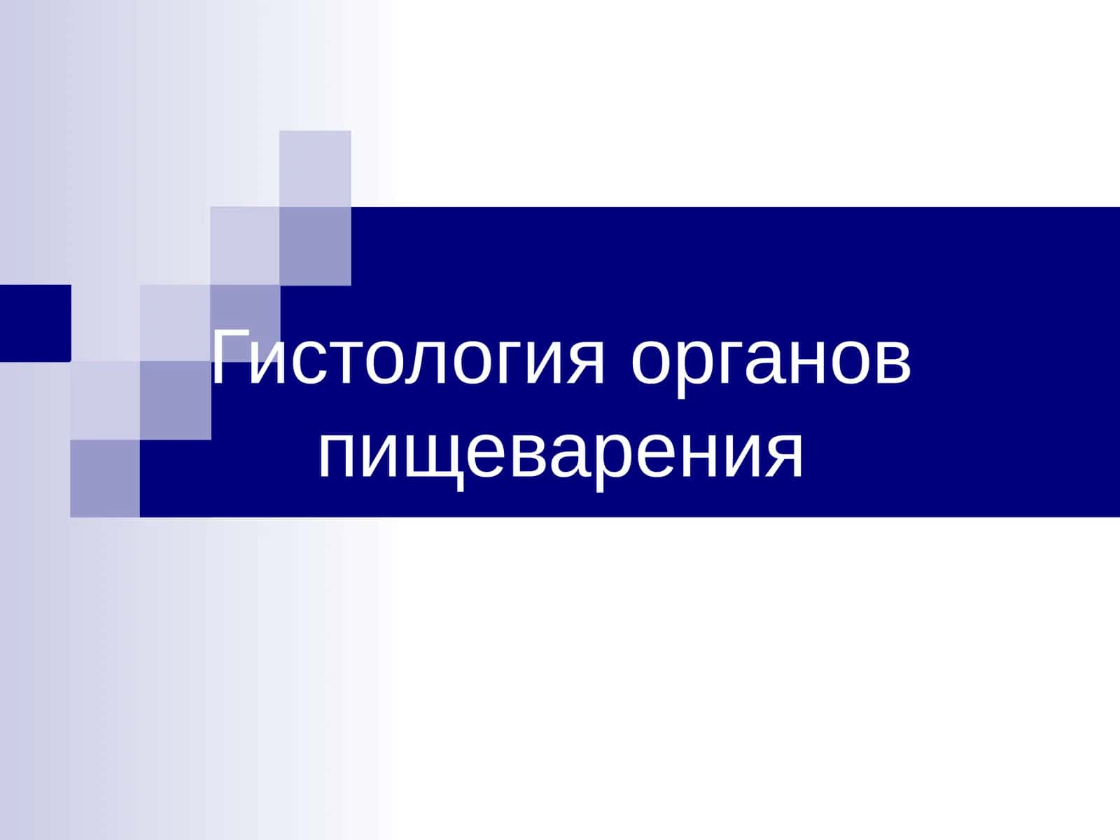 Гистология органов пищеварения 1