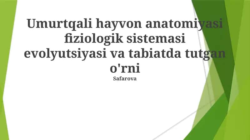 Umurtqali Hayvon Anatomiyasi va Fiziologiyasi 1
