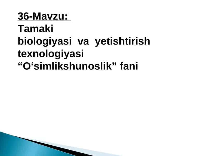Tamaki biologiyasi va yetishtirish texnologiyasi 1