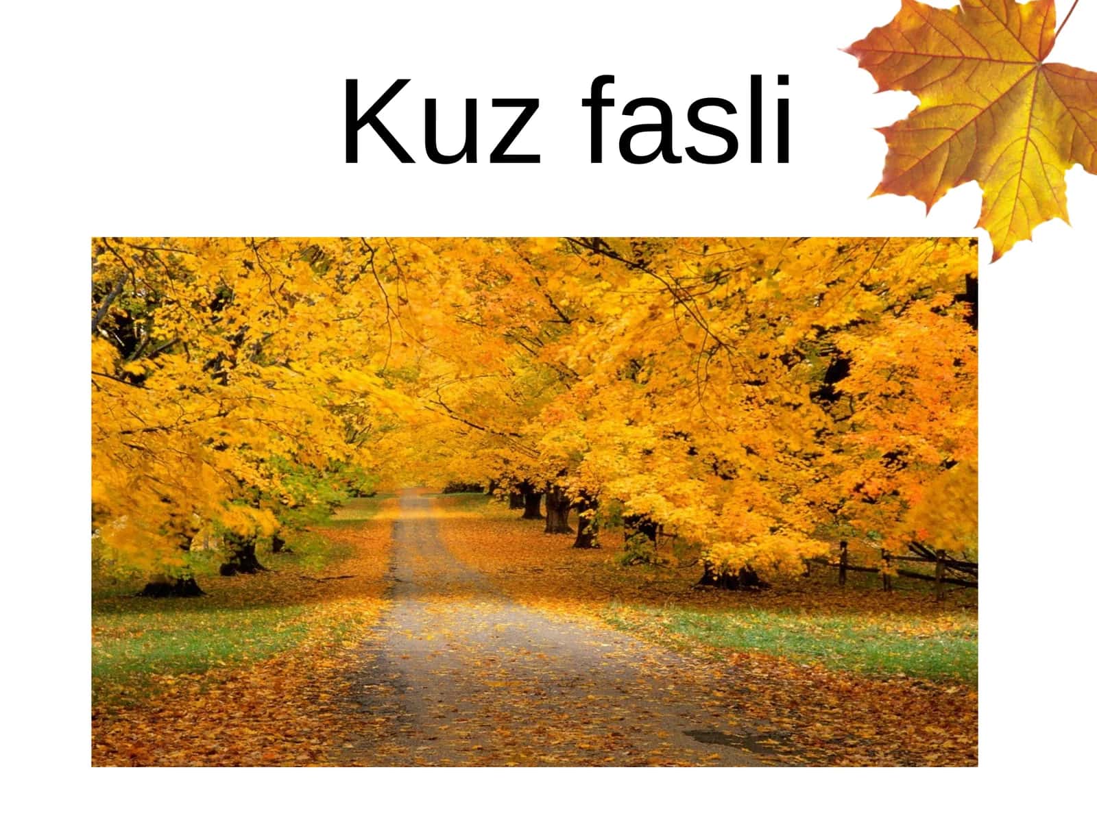 Oltin kuz mavzusida ochiq dars ishlanmalar va taqdimotlar 1