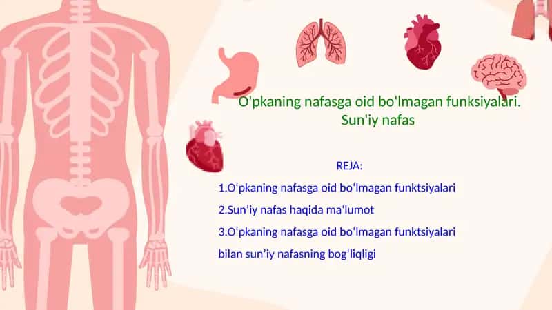 O'pkaning nafasga oid bo'lmagan funksiyalari. Sun'iy nafas 1