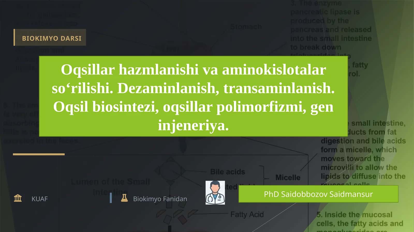 Oqsillar hazmlanishi va aminokislotalar so‘rilishi. 1