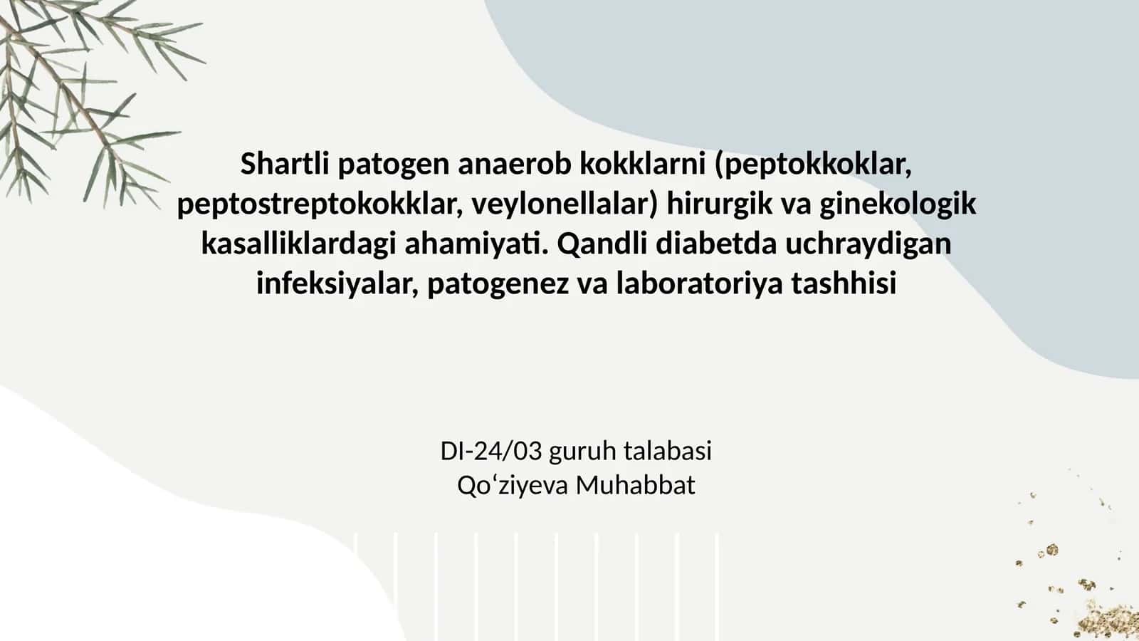 Shartli patogen anaerob kokklarni (peptokkoklar, peptostreptokokklar, veylonellalar) hirurgik va ginekologik kasalliklardagi ahamiyati. Qandli diabetda uchraydigan infeksiyalar, patogenez va laboratoriya tashhisi 1