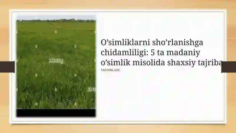 O’simliklarni sho’rlanishga chidamliligi: 5 ta madaniy o’simlik misolida shaxsiy tajriba