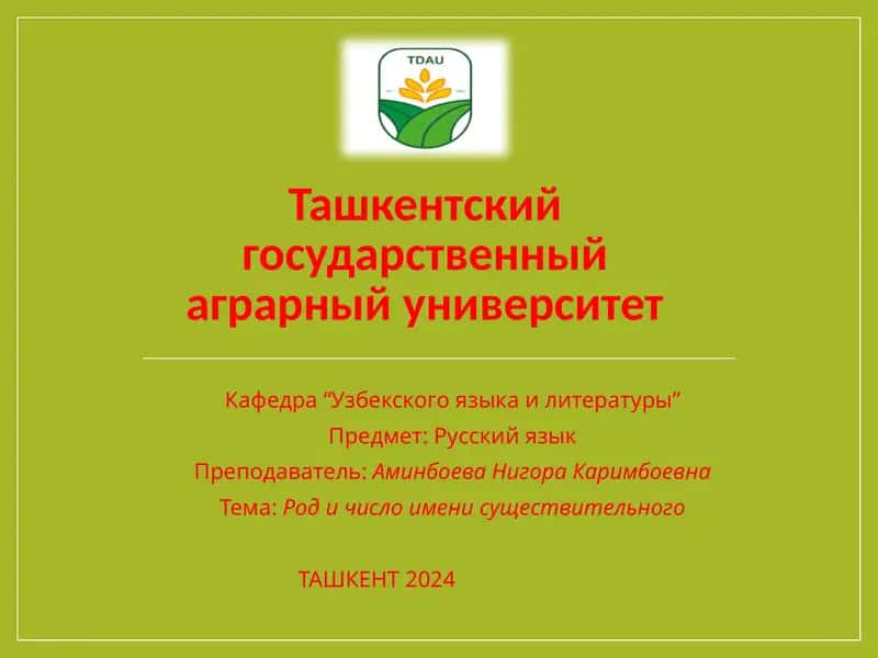 Род и число имени существительного 1