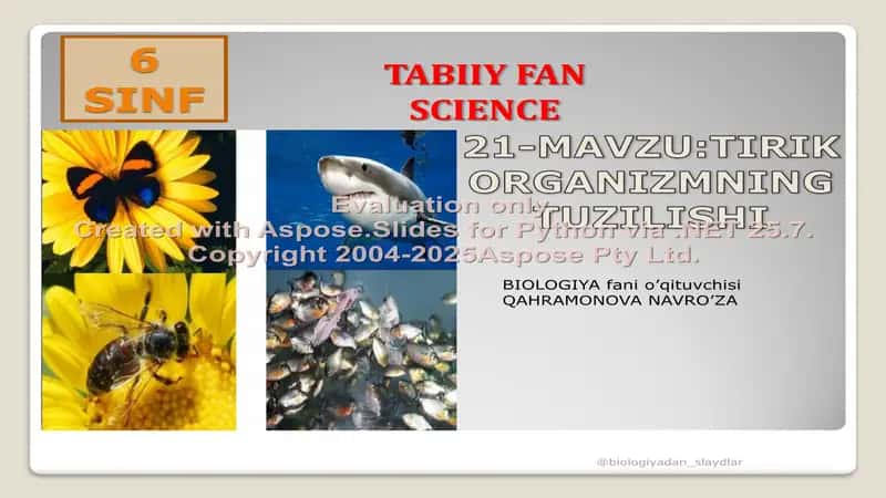 BIOLOGIYA fani o’qituvchisi QAHRAMONOVA NAVRO’ZA 1