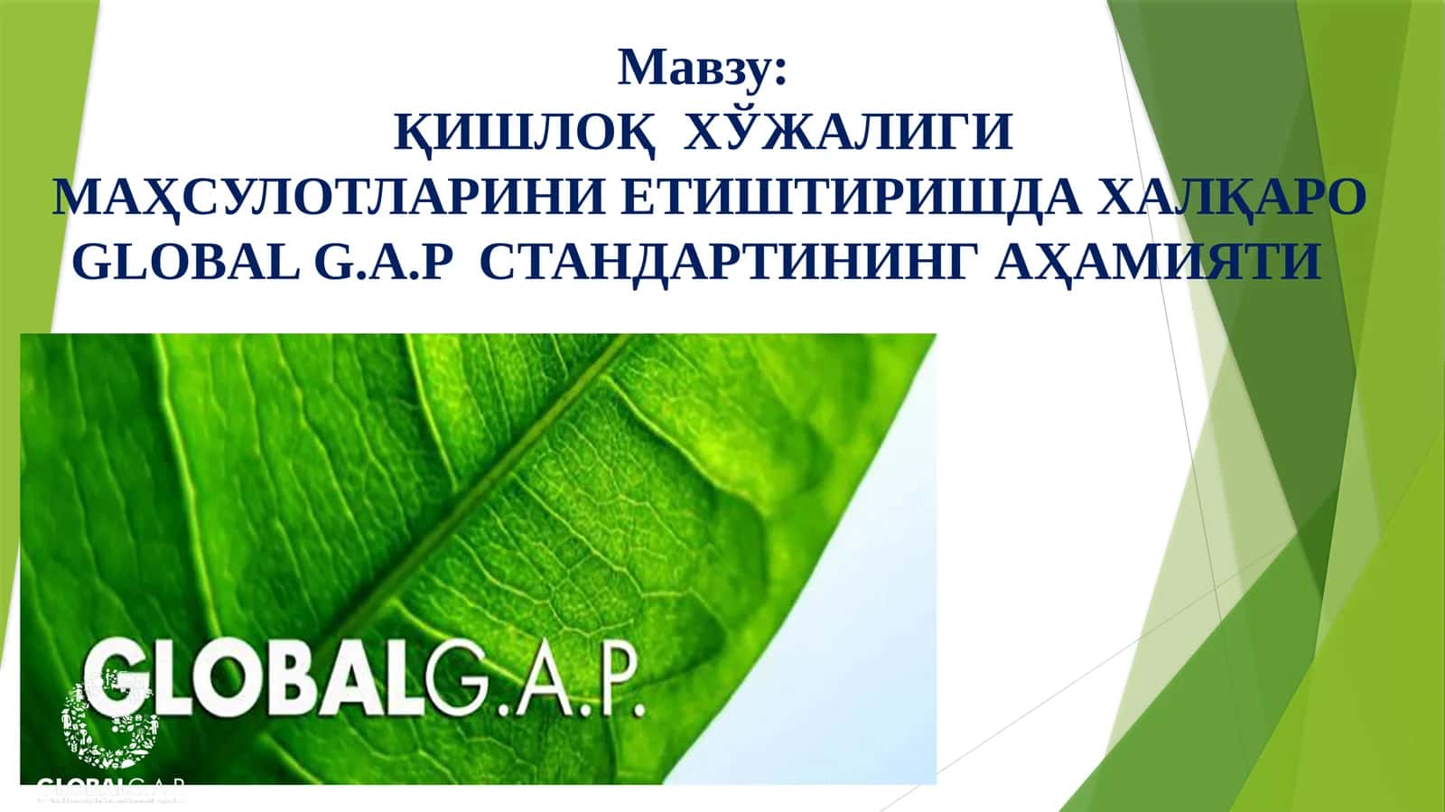 ҚИШЛОҚ  ХЎЖАЛИГИ МАҲСУЛОТЛАРИНИ ЕТИШТИРИШДА ХАЛҚАРО GLOBAL G.A.P  СТАНДАРТИНИНГ АҲАМИЯТИ 1