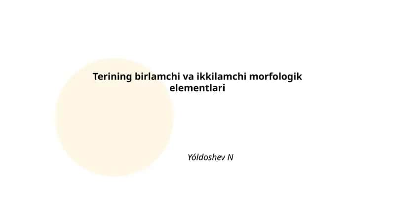 Terining birlamchi va ikkilamchi morfologik elementlari 1