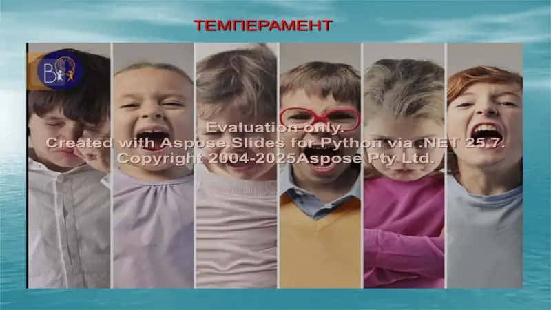 TEMPERAMENT 1