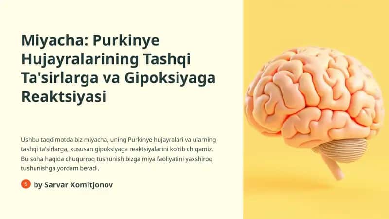 Purkinye Hujayralarining Tashqi Ta'sirlarga va Gipoksiyaga Reaktsiyasi 1
