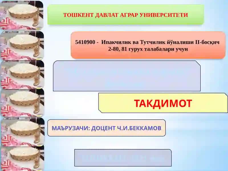Ипакчилик ва Тутчилик йўналиши II-босқич