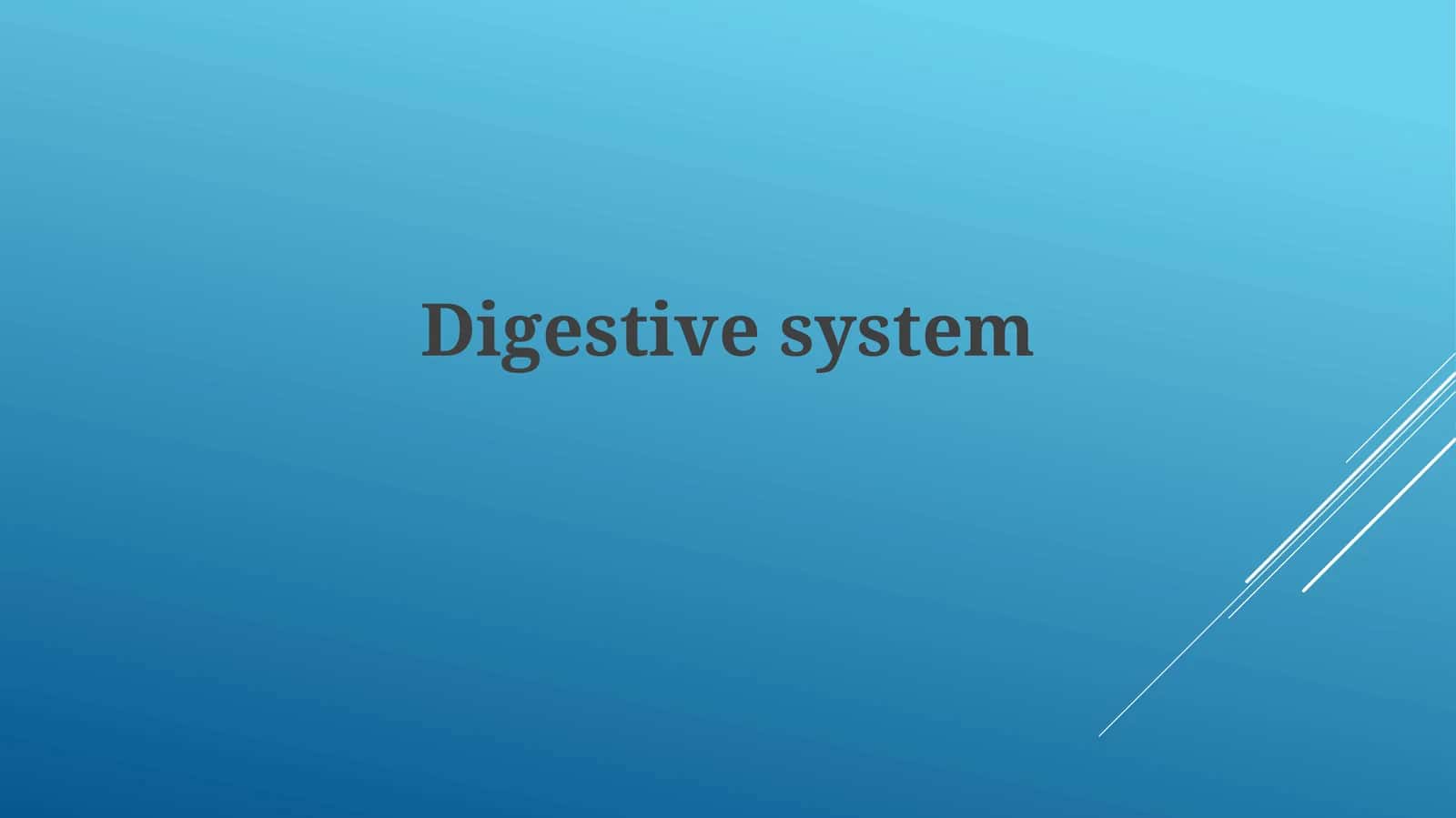 Anatomy and Organs of the Digestive System 1