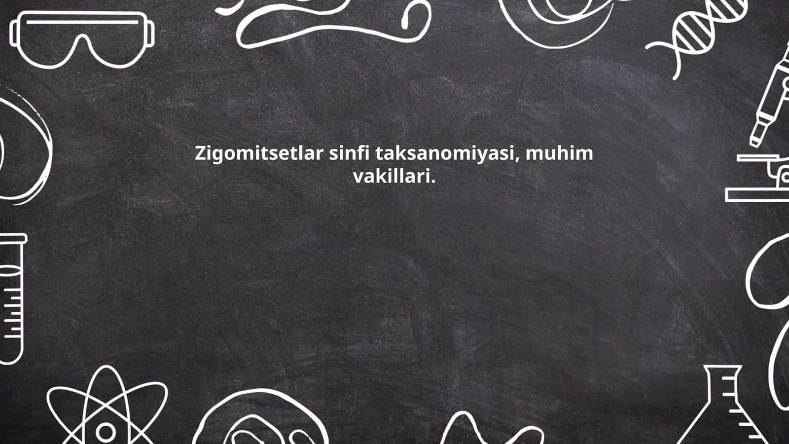 Zigomitsetlar sinfi taksanomiyasi, muhim vakillari 1
