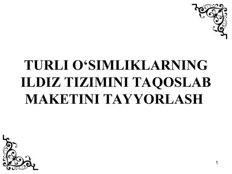 TURLI O‘SIMLIKLARNING ILDIZ TIZIMINI TAQOSLAB MAKETINI TAYYORLASH 1